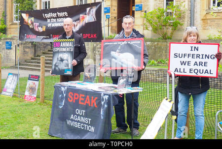 Oxford, UK. 21 Mar 2019. Les partisans des droits des animaux parler qui manifestaient dans le sud de la route des parcs. La parole a été mis en place il y a 15 ans ce mois-ci pour protester contre une nouvelle expérimentation animale centre de l'Université d'Oxford, de l'édifice des sciences biomédicales, qui a ouvert ses portes en 2008. Après deux ans de bataille de la Haute Cour, qui a pris fin en 2008, l'université a obtenu une injonction signifiant les militants peuvent seulement protester contre les jeudis entre 1h et 16h dans un petit espace salon. Ils se préparent également pour une manifestation à Oxford le 27 avril pour la Journée mondiale pour les animaux dans les laboratoires. Credit : Angela Swann/Alamy Live News Banque D'Images