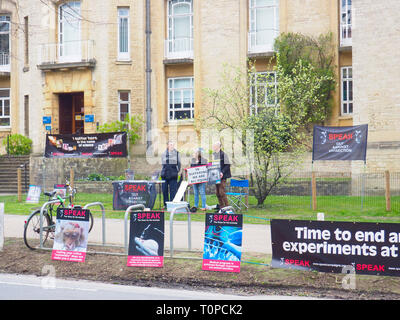 Oxford, UK. 21 Mar 2019. Les partisans des droits des animaux parler qui manifestaient dans le sud de la route des parcs. La parole a été mis en place il y a 15 ans ce mois-ci pour protester contre une nouvelle expérimentation animale centre de l'Université d'Oxford, de l'édifice des sciences biomédicales, qui a ouvert ses portes en 2008. Après deux ans de bataille de la Haute Cour, qui a pris fin en 2008, l'université a obtenu une injonction signifiant les militants peuvent seulement protester contre les jeudis entre 1h et 16h dans un petit espace salon. Ils se préparent également pour une manifestation à Oxford le 27 avril pour la Journée mondiale pour les animaux dans les laboratoires. Credit : Angela Swann/Alamy Live News Banque D'Images