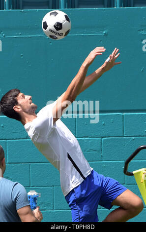 Miami Gardens, Florida, USA. Mar 21, 2019. Novak Djokovic travaille au cours de la quatrième journée de l'Open de tennis de Miami le 21 mars 2019 à Miami Gardens, en Floride. People : Novak Djokovic Crédit : Hoo Punch/Me.Com/Media Alamy Live News Banque D'Images