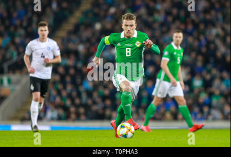 Windsor Road, Belfast, Irlande du Nord. Mar 21, 2019. Championnats Européens de football de l'UEFA de qualification, l'Irlande du Nord contre l'Estonie, l'Irlande du Nord, Steven Davis pousse en avant : Action Crédit Plus Sport/Alamy Live News Banque D'Images