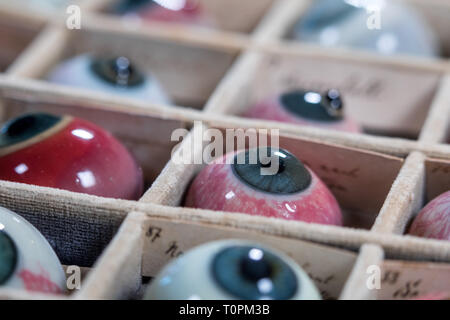 Rostock, Allemagne. Feb 11, 2019. Une partie des 132 pathologies de l'oeil de verre historique archives de la Clinique Ophtalmologique de l'hôpital de l'université de Rostock est situé dans un ensemble. L'histoire du verre soufflé yeux entre 1860 et 1880 est l'objet d'une thèse de doctorat écrite dans les cinq dernières années. Les yeux de verre ont été fabriqués il y a 150 ans pour visualiser les maladies des yeux par des souffleurs de verre de Lauscha et documenté le travail de recherche du département d'Ophtalmologie de l'hôpital universitaire. Credit : Jens Büttner/dpa-Zentralbild/dpa/Alamy Live News Banque D'Images