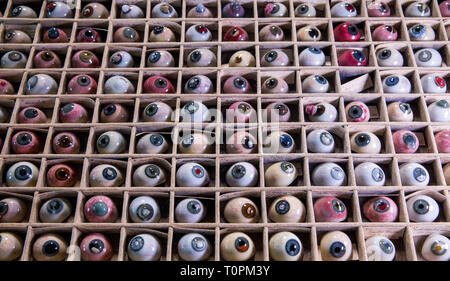 Rostock, Allemagne. Feb 11, 2019. Une partie des 132 pathologies de l'oeil de verre historique archives de la Clinique Ophtalmologique de l'hôpital de l'université de Rostock est situé dans un ensemble. L'histoire du verre soufflé yeux entre 1860 et 1880 est l'objet d'une thèse de doctorat écrite dans les cinq dernières années. Les yeux de verre ont été fabriqués il y a 150 ans pour visualiser les maladies des yeux par des souffleurs de verre de Lauscha et documenté le travail de recherche du département d'Ophtalmologie de l'hôpital universitaire. Credit : Jens Büttner/dpa-Zentralbild/dpa/Alamy Live News Banque D'Images