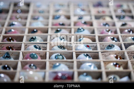 Rostock, Allemagne. Feb 11, 2019. Une partie des 132 pathologies de l'oeil de verre historique archives de la Clinique Ophtalmologique de l'hôpital de l'université de Rostock est situé dans un ensemble. L'histoire du verre soufflé yeux entre 1860 et 1880 est l'objet d'une thèse de doctorat écrite dans les cinq dernières années. Les yeux de verre ont été fabriqués il y a 150 ans pour visualiser les maladies des yeux par des souffleurs de verre de Lauscha et documenté le travail de recherche du département d'Ophtalmologie de l'hôpital universitaire. (Dpa 'Rostock oeil de verre collection est un historique médical Crédit rar : dpa/Alamy Live News Banque D'Images