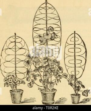 Dreer's catalogue descriptif de xénon, l'Dreer catalogue descriptif de bulbes, de plantes, etc. avec des instructions pour la gestion de la culture et de racines bulbeuses dreersdescriptiv1877A Brassard à usage unique pour adulte henr Année : 1877 DREER'S catalogue descriptif d'Ampoules, ETC. 45 TREILLIS POUR FLOWER-POTS, peint en vert. Banque D'Images