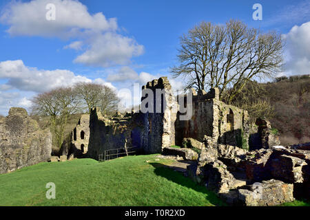 Ruines du château d'Okehampton, Devon, Royaume-Uni Banque D'Images