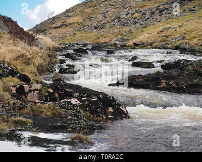 En cascade sur les rochers de la rivière Tavy Tavy par le Cleave, Dartmoor National Park, Devon, UK Banque D'Images