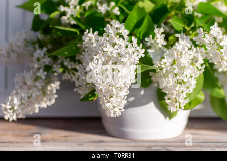 Un bouquet de lilas blanc se trouve dans un vase blanc sur un fond de bois. Bouquet de printemps parfumé Banque D'Images