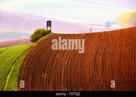 Les terres arables au printemps. Printemps paysage rural. Zone de chasse sur les collines de Moravie. Les champs. République tchèque, l'Europe. Banque D'Images