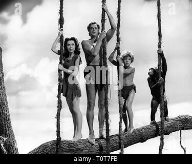 Maureen O'Sullivan comme Jane Johnny Weissmuller Tarzan comme Johnny Sheffield en tant que garçon Cheetah TARZAN'S SECRET TREASURE 1941 réalisateur Richard Thorpe Edgar Rice Burroughs Metro Goldwyn Mayer Banque D'Images