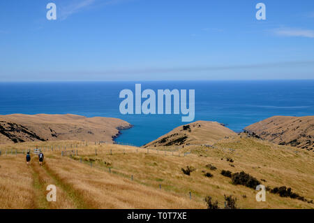 La piste jusqu'à Te Oka Bay sur la péninsule de Banks sur néos-zélandais l'île du Sud, près de Christchurch. Banque D'Images