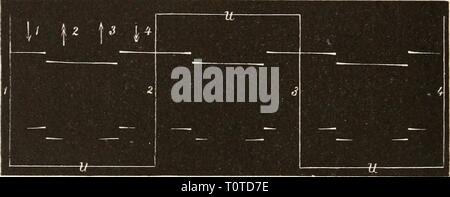 (1895) Elektrophysiologie Elektrophysiologie elektrophysiolog00bied Année : 1895 548 J'^ie elektrische ei-regimg der Nerven. propose augenblicklich absteigende der Strom dans die entgegengesetzte Richtung um. Enstanden Jäh in hessen er allmählich auf Null herab, um ebenso allmählich, wenn die Spule 7, den 3. Quadranten durchlaufend, dem sich Südpol S nähert, noch einmal wieder auf seine alte Höhe. anzusteigen Folgt dann Wieder ein schliesslich jäh Strom von ansteigender umgekehrter Richtung, de sorte que, wie es die beistehenden Curven darstellen (Fig. 176), bei jeder Umdrehung zwei und zwei jä allmählich Banque D'Images