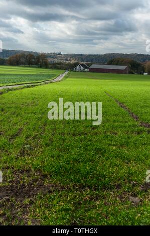 Laendliches de Ruhr mit im Herbst Wiesen bei interessanter dans Lichtstimmung Muelheim Ruhr. Banque D'Images