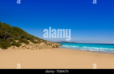 Tarragona Playa Los Capellanes en Costa Dorada de Catalogne Capellans Banque D'Images