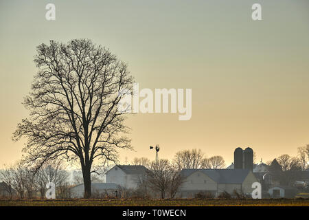 Un comté de Lancaster, Pennsylvania farm dans le crépuscule d'hiver Banque D'Images