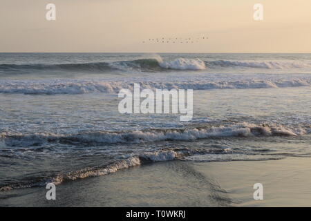 Vagues roulant sur la plage pendant le coucher du soleil avec un troupeau d'oiseaux volant dans la distance en El Salvador Banque D'Images