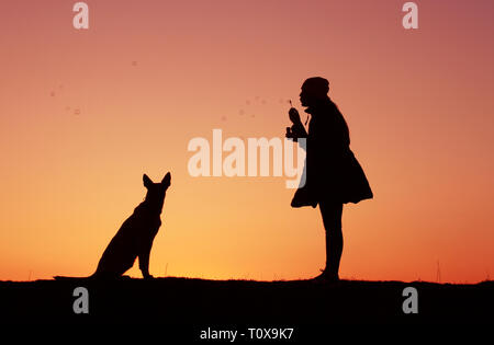 Silhouettes girl and dog au coucher du soleil, des coups, des bulles de fille, coucher de soleil incroyable Berger Belge Malinois Banque D'Images