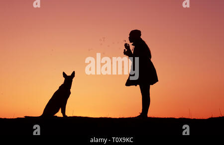 Silhouettes girl and dog au coucher du soleil, des coups, des bulles de fille, coucher de soleil incroyable Berger Belge Malinois Banque D'Images