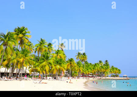 Guadeloupe : palmiers sur la plage 'plage de La Caravelle', plage appartenant au Club Med village vacances Banque D'Images