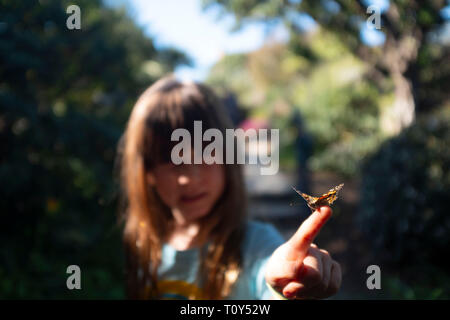 Six ans, fille tenant un papillon sur son doigt Banque D'Images
