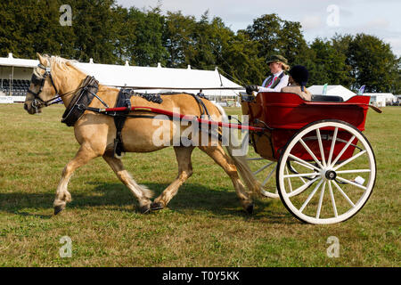 2018 Aylsham Show agricole, Norfolk, Royaume-Uni. Banque D'Images