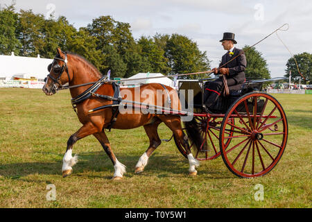 2018 Aylsham Show agricole, Norfolk, Royaume-Uni. Banque D'Images