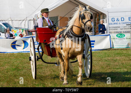 2018 Aylsham Show agricole, Norfolk, Royaume-Uni. Banque D'Images