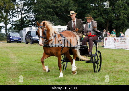 Pony and trap afficher et la concurrence à l'agriculture de 2018 Aylsham, Norfolk, Royaume-Uni. Banque D'Images