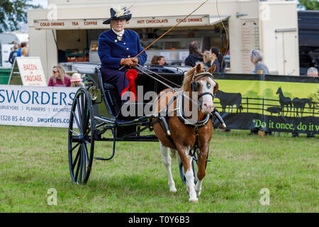 Pony and trap afficher et la concurrence à l'agriculture de 2018 Aylsham, Norfolk, Royaume-Uni. Banque D'Images