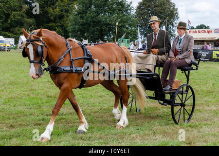 Pony and trap afficher et la concurrence à l'agriculture de 2018 Aylsham, Norfolk, Royaume-Uni. Banque D'Images