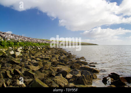 Digue solide aux Pays-Bas, de rochers et d'algues Banque D'Images