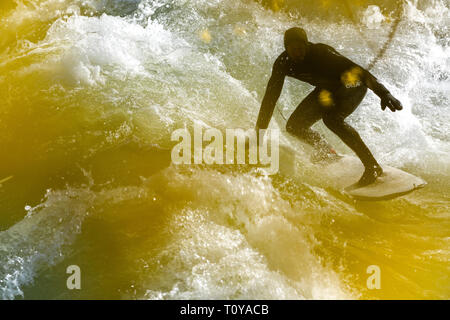 Munich, Allemagne. Mar 22, 2019. 22 mars 2019, Bavaria, Munich : Derrière les fleurs jaune d'un arbre, un homme surfe sur la vague Eisbach. Photo : Sina Schuldt/dpa dpa : Crédit photo alliance/Alamy Live News Banque D'Images