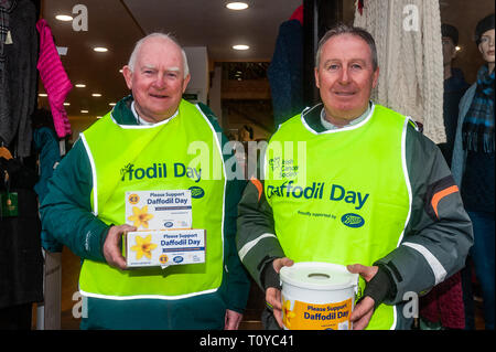 Bantry, West Cork, Irlande. 20 mars, 2019. Malgré la pluie, les bénévoles ont été à la collecte annuelle pour le cancer de la société irlandaise le jour de la jonquille dans divers endroits autour de West Cork ce matin. La collecte dans Bantry ont été Ray O'Callaghan et Jerry Cronin, tous deux de Bantry. Credit : Andy Gibson/Alamy Live News. Banque D'Images