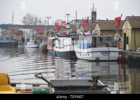 21 mars 2019, Mecklembourg-Poméranie-Occidentale, le plus libre : Il y a des bateaux de pêche dans le port de plus libres. La haute saison pour la pêche au hareng sur la côte baltique du Mecklenburg-Vorpommern est anormalement courte cette année. Pour les pêcheurs de plus libres (Vorpommern-Greifswald), le plus grand port de pêche avec 24 pêcheurs, le pic de la saison de pêche est déjà à sa fin. Tous les poissons d'être pris en plus grande quantité, comme la morue, la plie ou le sprat, sont cités d'après le directeur général de la coopérative de pêche en Peenemündung plus libres. La capture de poissons d'eau douce comme la perche, sandre un Banque D'Images