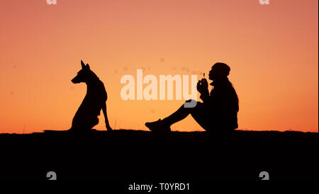 Silhouettes girl and dog au coucher du soleil, des coups, des bulles de fille, coucher de soleil incroyable Berger Belge Malinois Banque D'Images