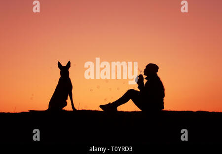 Silhouettes girl and dog au coucher du soleil, des coups, des bulles de fille, coucher de soleil incroyable Berger Belge Malinois Banque D'Images