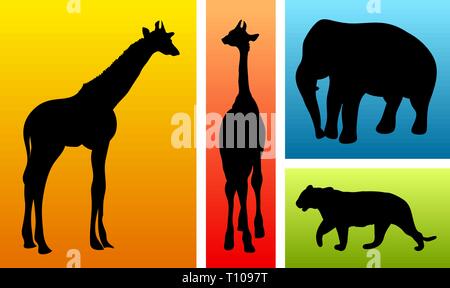 Les animaux du zoo safari / fonds de couleur sur Illustration de Vecteur