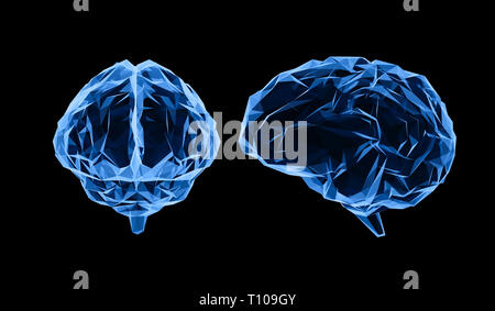 Le rendu 3D polygonal bleu cerveau x-ray isolated on black Banque D'Images