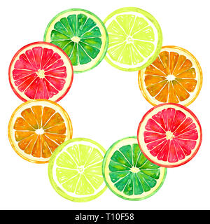 Pamplemousse, orange, citron et lime ronde pour châssis, carte de vœux ou design de bannières en feuille de format carré, peinte à l'aquarelle illustration Banque D'Images