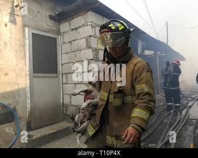 Quezon City, Philippines. Mar 20, 2019. 200 maisons ont été vidés et plus de 700 familles ont été affectées par un feu qui atteint en Damayang d'alarme générale Barangay Lagi, Quezon City. Aucune victime n'a été signalé. Sherbien Dacalanio : Crédit/Pacific Press/Alamy Live News Banque D'Images