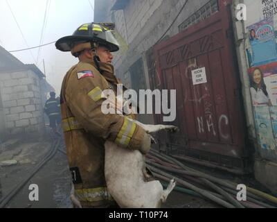 Quezon City, Philippines. Mar 20, 2019. Un pompier de l'enregistrement d'un chien lors d'un incendie dans la ville de Quezon/Dacalanio Sherbien Crédit : Pacific Press/Alamy Live News Banque D'Images