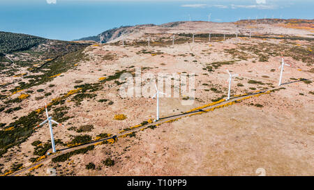 Vue aérienne de la ferme éolienne en région rurale sur journée ensoleillée dans 'Paul da Serra", l'île de Madère, Portugal Banque D'Images