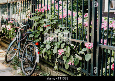 Location reposant sur une clôture entourée de fleurs à Amsterdam, Pays-Bas Banque D'Images