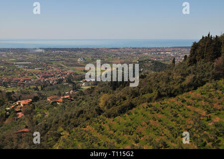 Les collines de Camaiore en Toscane avec une vue imprenable sur la mer Tyrrhénienne. Banque D'Images