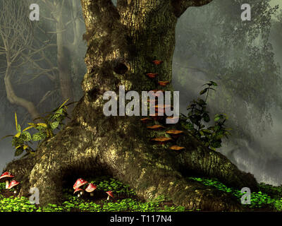 Un arbre moussu avec un vague visage humain comme se trouve dans une forêt brumeuse. Polyphores grandir un côté, et les champignons poussent sur le sol autour de lui. Banque D'Images