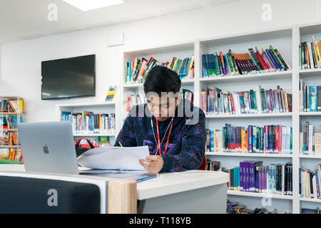 Les élèves passent et travaux de révision dans l'école / college library Banque D'Images