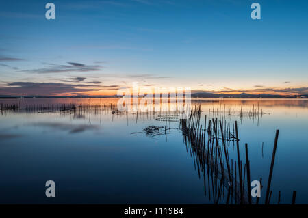 , Lagune Albufera de Valence, Espagne Banque D'Images