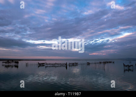 , Lagune Albufera de Valence, Espagne Banque D'Images