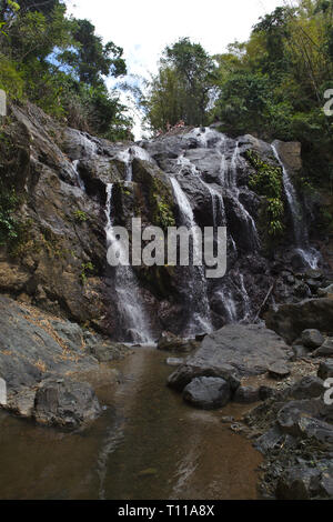 Chute d'Argyll Tobago Banque D'Images