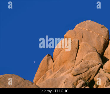 États-unis, Californie, Joshua Tree National Park, les rochers de granit de monzonite distinctif Jumbo Rocks et près de lune. Banque D'Images