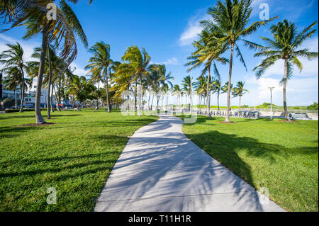 Vue panoramique lumineux matin de palmiers casting shadows au soleil du matin sur la promenade d'Ocean Drive à South Beach, Miami, Floride, USA Banque D'Images